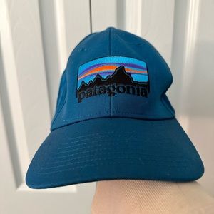 Patagonia Baseball Hat - NWT